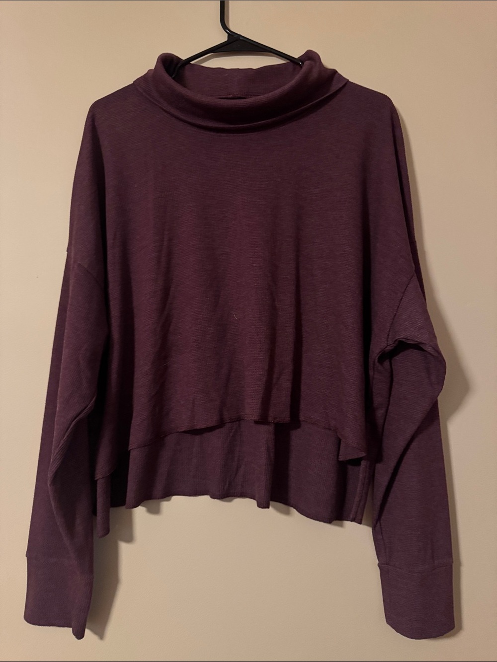 American Eagle Outfitters Plum Cropped Turtleneck Long Sleeve Top